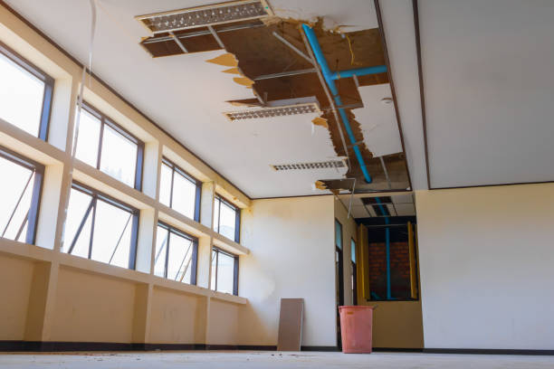 Best 24/7 water damage repair  in Longview, TX