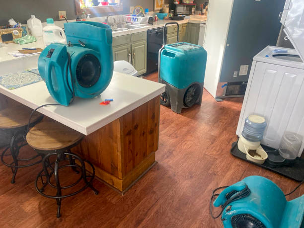 Best Water damage contractors near me  in Longview, TX