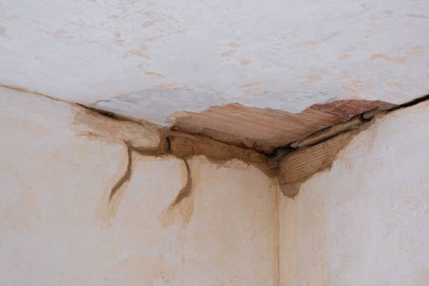  Longview, TX Water damage restoration Pros