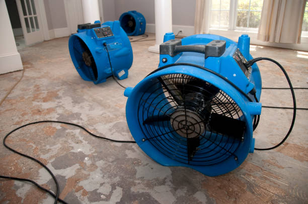 Best Water damage restoration near me  in Longview, TX