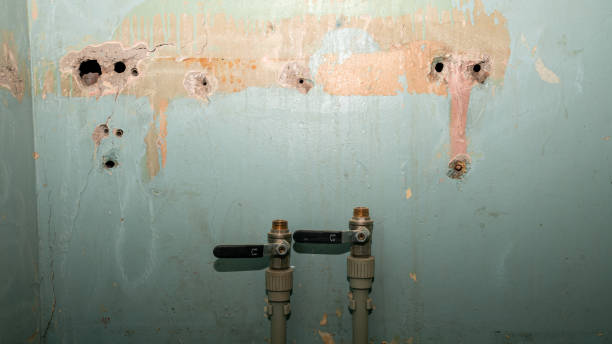 Best Local water damage restoration  in Longview, TX