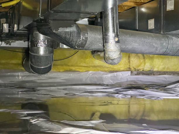 Best Flood restoration services  in Longview, TX