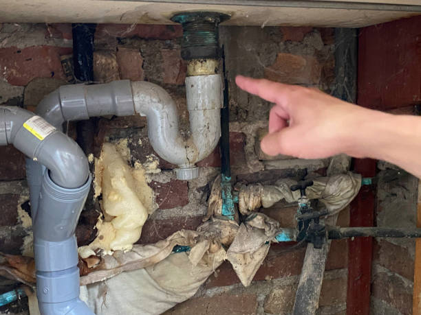 Best Water damage cleanup near me  in Longview, TX