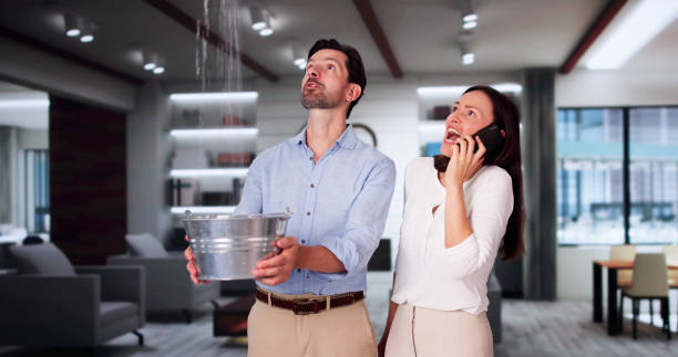 Best Mold removal after water damage  in Longview, TX